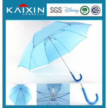 Low Price Straight EVA Plastic Umbrella